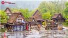 5 lý do bạn nên chọn TravelNhatBan cho tour Nhật Bản Hè