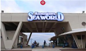 Khám Phá Thủy Cung Seaworld Kamogawa