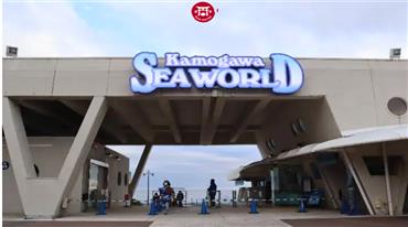 Khám Phá Thủy Cung Seaworld Kamogawa