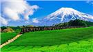 Cảnh đẹp 4 mùa của Núi Phú Sĩ 