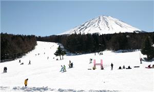Khu Nghỉ Dưỡng Trượt tuyết Fujiten Snow Resort